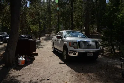 DSC_3508 (Large).JPG